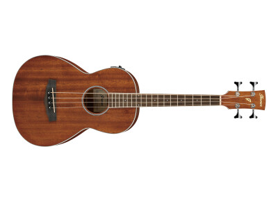 Ibanez PNB14E