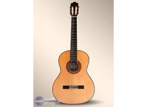 Alhambra Guitars 7P