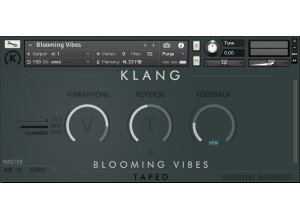 Cinematique Instruments Klang Blooming Vibes