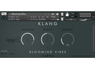 Cinematique Instruments Klang Blooming Vibes