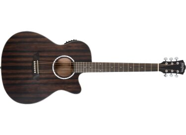 Washburn Deep Forest Ebony ACE