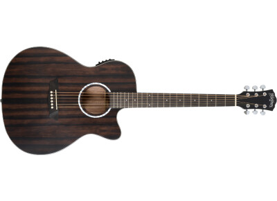 Washburn Deep Forest Ebony ACE