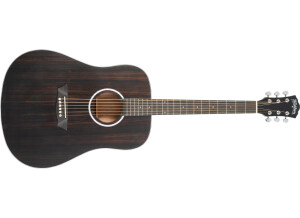 Washburn Deep Forest Ebony D