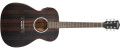 Nouvelle série de guitares folks chez Washburn : Deep Forest