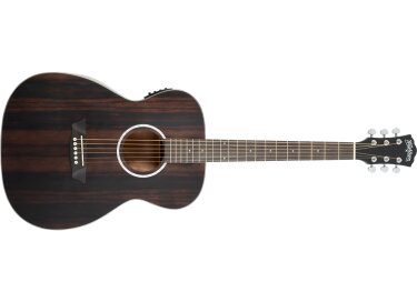 Washburn Deep Forest Ebony FE
