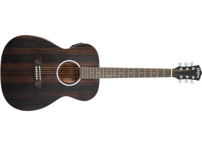Washburn Deep Forest Ebony FE