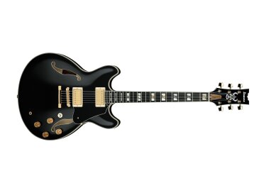 Ibanez JSM20TH 20th Anniversary John Scofield Signature