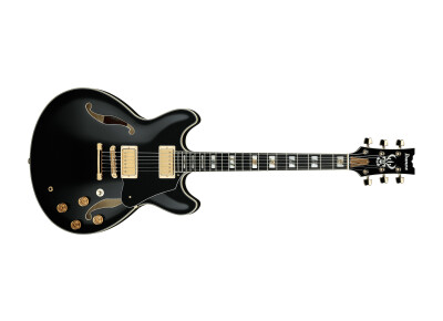 Ibanez JSM20TH 20th Anniversary John Scofield Signature