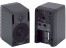 Genelec 1029A