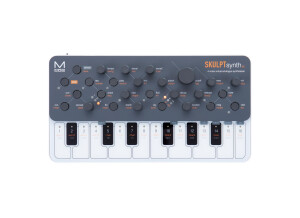 Modal Electronics SKULPTsynthSE