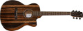 La série Custom Line de Harley Benton accueille 9 nouvelles guitares