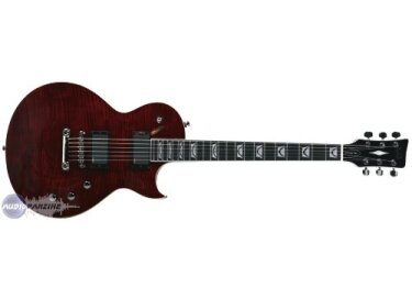 VIG Guitars Eruption Pro Ravenblood