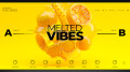 Native Instruments ajoute Melted Vibes à la Play Series