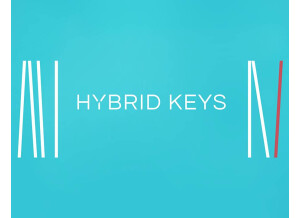 Native Instruments Hybrid Keys