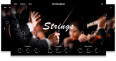 Voici Strings Ensemble, la nouvelle banque de sons de Muze