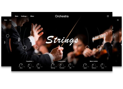 Muze Strings Ensemble