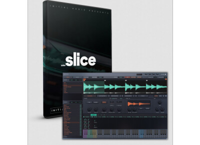 Initial Audio Initial Slice