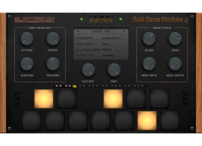 Electronik Sound Lab 808 Bass Module 4