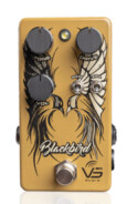 Vs Audio met deux amplis Fender dans une pédale avec la BlackBird
