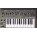 Roland SH-101
