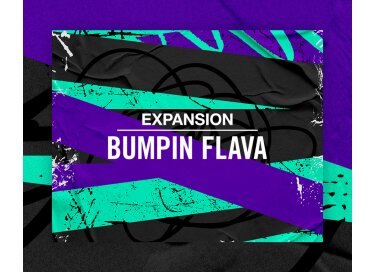 Native Instruments Bumpin Flava