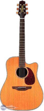 Takamine TAN15C