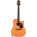 Takamine TAN15C