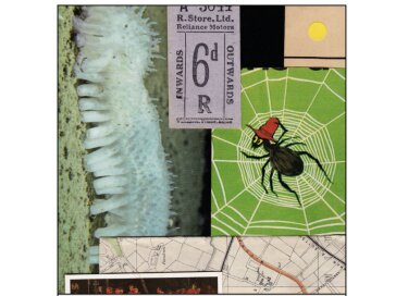 Spitfire Audio Organic Textures