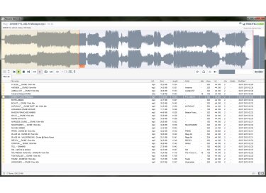 Liqube Audio Resonic Player