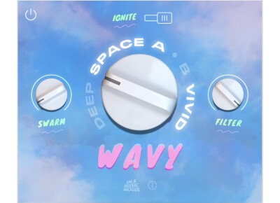 I'm A Music Mogul Wavy