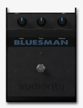 Audiority The Bluesman