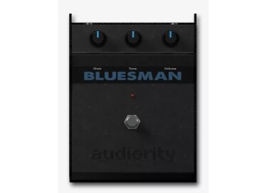 Audiority The Bluesman