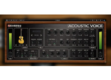 Nembrini Audio Acoustic Voice Guitar Preamp