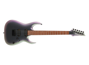 Ibanez RGA42EX