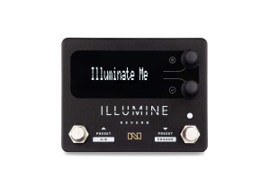 Neunaber Technology Illumine Reverb