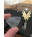 See the photo of the Hufschmid Guitars Dents du Midi Plectrum Hufschmid Guitars Dents du Midi Plectrum