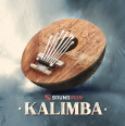 Découvrez la banque de sons Kalimba, par Soundiron