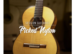 Native Instruments Session Guitarist Picked Nylon