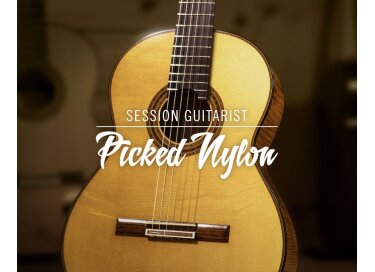 Native Instruments Session Guitarist Picked Nylon