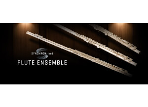 VSL (Vienna Symphonic Library) Synchron-ized Flute Ensemble