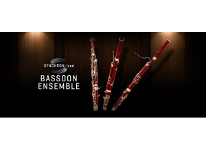 VSL (Vienna Symphonic Library) Synchron-ized Bassoon Ensemble