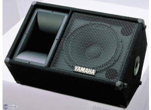 Yamaha SM12V