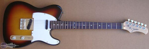 Johnson Guitars Del Sol JT-800