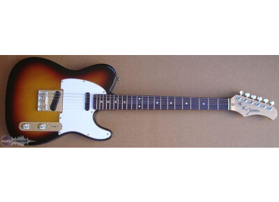 Johnson Guitars Del Sol JT-800