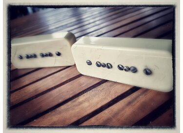 Asyllum Pickups P90 Grainy Mate