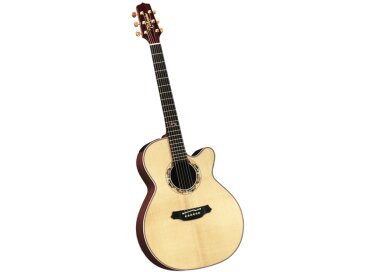 Takamine LTD2001 Dolphin
