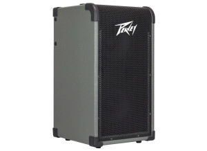 Peavey MAX 208