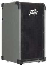 Peavey MAX 208