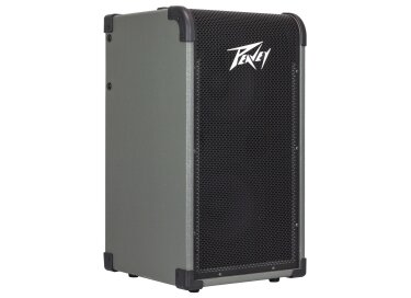 Peavey MAX 208
