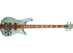 Spector Euro 4 RST